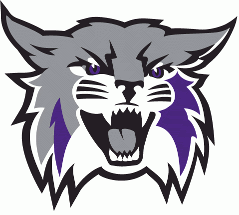 Weber State Wildcats 2012-Pres Primary Logo diy DTF decal sticker